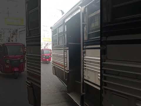 viuda negra 111 #automobile 😮‍💨😍#buses #ilobasco #cabañas