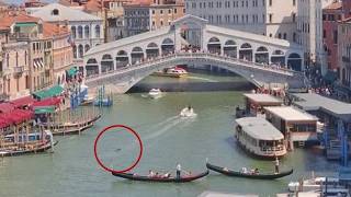 Venezia, delfino vicino al ponte di Rialto nel Canal Grande: il video dell'avvistamento