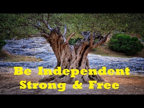 Be More Independent  - Increase Your Personal Freedom | Subliminal Isochronic Meditation