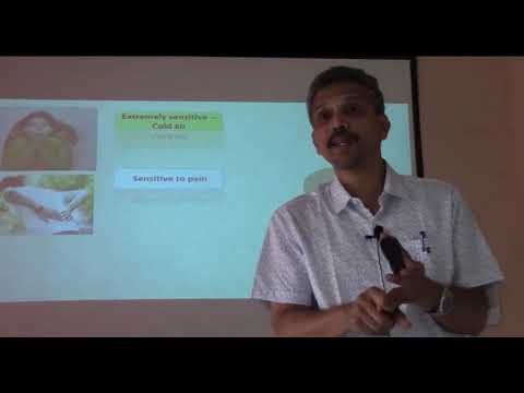 HEPAR SULPH Characters and  Particulars  Dr Vijaykrishna .V