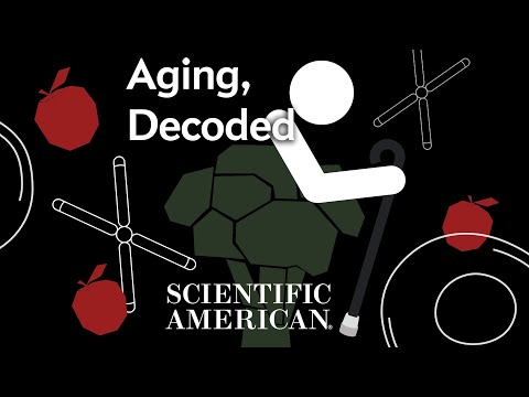 Decoded: Can We Stop Aging?