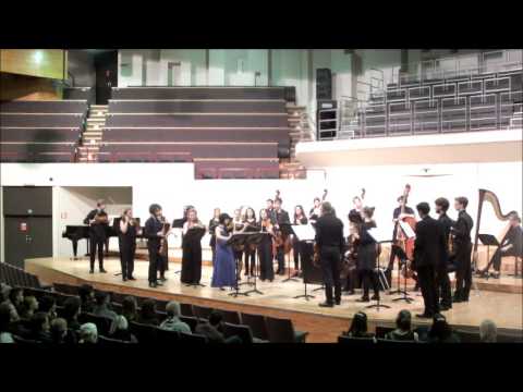 Vivaldi "Seasons" Recomposed by Max Richter