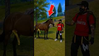 ESTE CABALLO TIENE M10 DORADA 😂