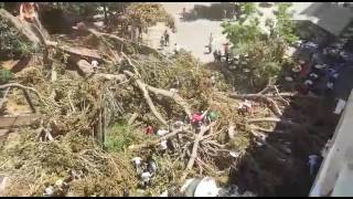 ¡¡ Callate Lourdes!! Plaza Santo Domingo 16/06/2017