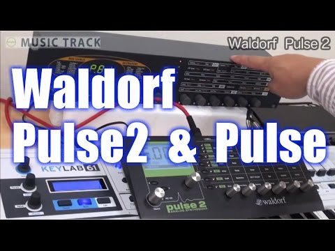Waldorf Pulse2 Demo&Review [English Captions]