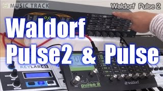 Waldorf Pulse2 Demo&Review [English Captions]