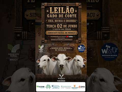 LEILÃO GADO DE CORTE - SINDICATO RURAL DE MINAÇU GO - 02/06/2026