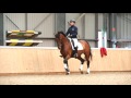 Dressage rider and trainer Matt Hicks helps you understand how to ride travers