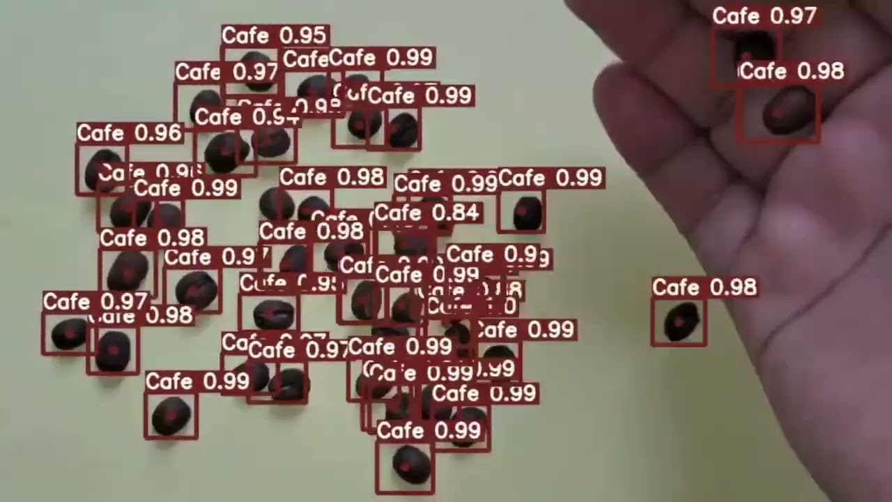 Data Annotation Services for Coffee Beans Detection | Wisepl | Computer Vision | Machine Learning
