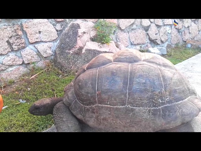 Video - Image - Un viaggio che porterò sempre nel cuore