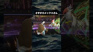 さすがカメックスさん