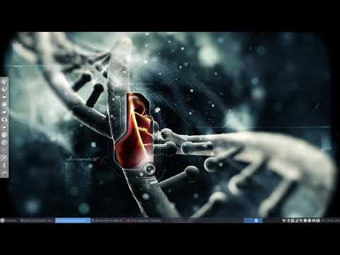 ArcoLinux : 450 BYOI ArcoLinuxB Awesome