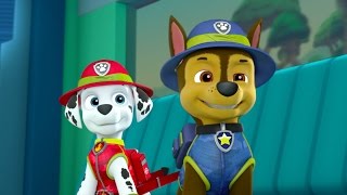 ♥ Animation Movies For Kids 2016 ♥ PUPS SAVE A FRIEND ♥ PUPS SAVE A GHOST ᴴᴰ✔
