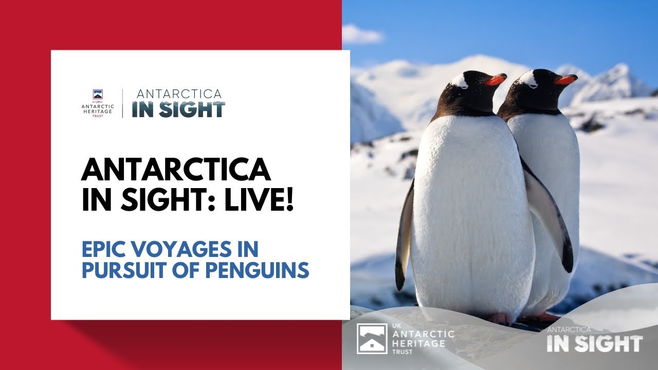 Epic Voyages in Pursuit of Penguins