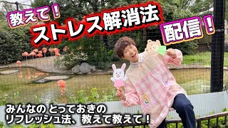教えて！ストレス発散法！LIVE配信！