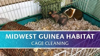 Cleaning My Midwest Guinea Habitat Cage