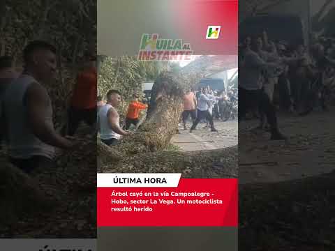 Árbol cayó sobre la vía Campoalegre - Hobo, sector La Vega. Un motociclista resultó herido