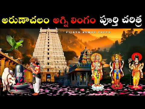 Arunachalam Temple History In Telugu | Arunachalam | Agni Lingam | Vijaya Kumar Facts
