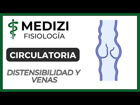 Class 23 Circulatory Physiology - Vascular Distensibility and Functions (IG:@doctor.paiva)