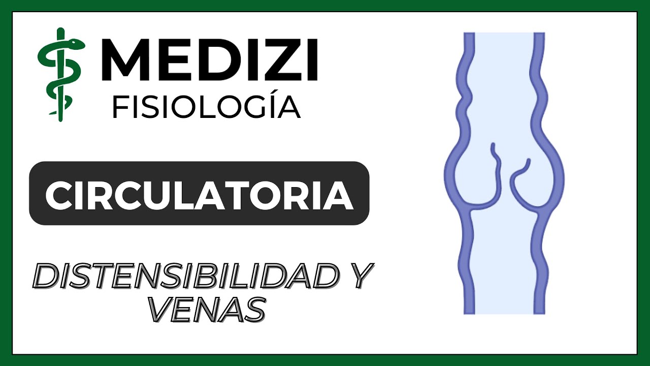 Clase 23  Fisiología Circulatoria - Distensibilidad y funciones vasculares (IG:@doctor.paiva)