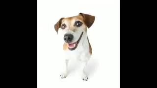 Cover art for A A FOLOU