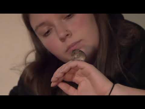 Mouse - Short Film BTS