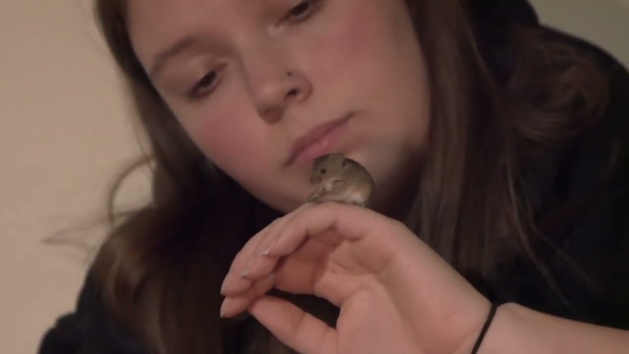 Mouse - Short Film BTS