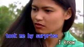 Never Say Goodbye - Martin Nievera