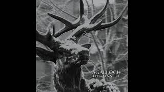Agalloch - ...And The Great Cold Death of The Earth (Eb tuning)