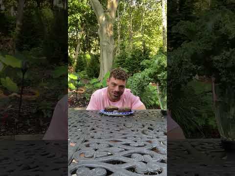 Wend Wellness Munch Out Time