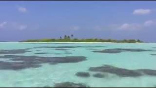 Thank you for visiting OCEAN BEACH INN - MALDIVES