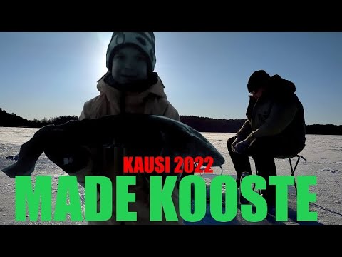 Mateen pilkintää ja juttua mateen pilkinnästä. Ekat kalat ja enkat paukkuu!