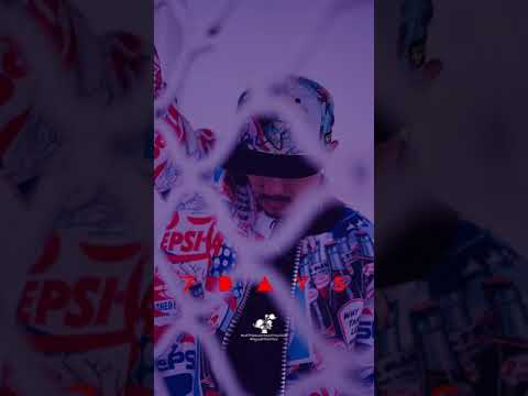 |  7  d  a  y  s  •  craigdavid  |