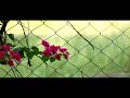 Ramki Prameela Love Song