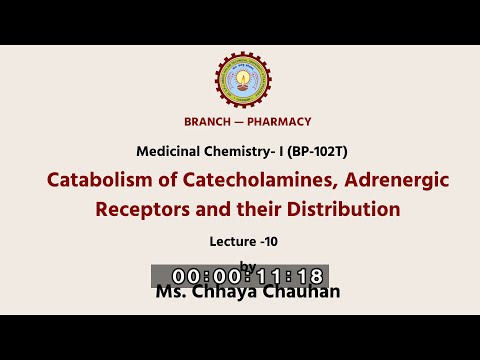 Catabolism of Catecholamines, Adrenergic Receptors and their Distribution