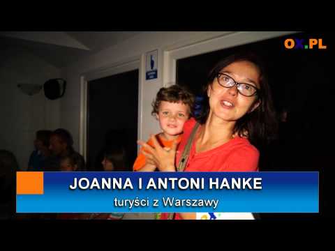 Wideo - Obserwatorium nietoperzy - YouTube