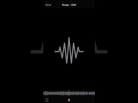 Rooga - GD Anthem (unreleased) FULL SONG