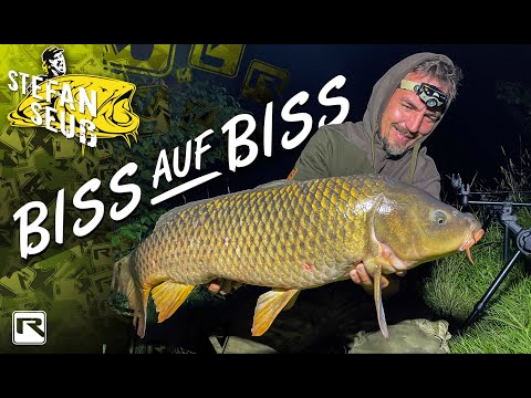 BISS auf BISS | Unglaubliches KARPFENANGELN am geheimen Waldsee