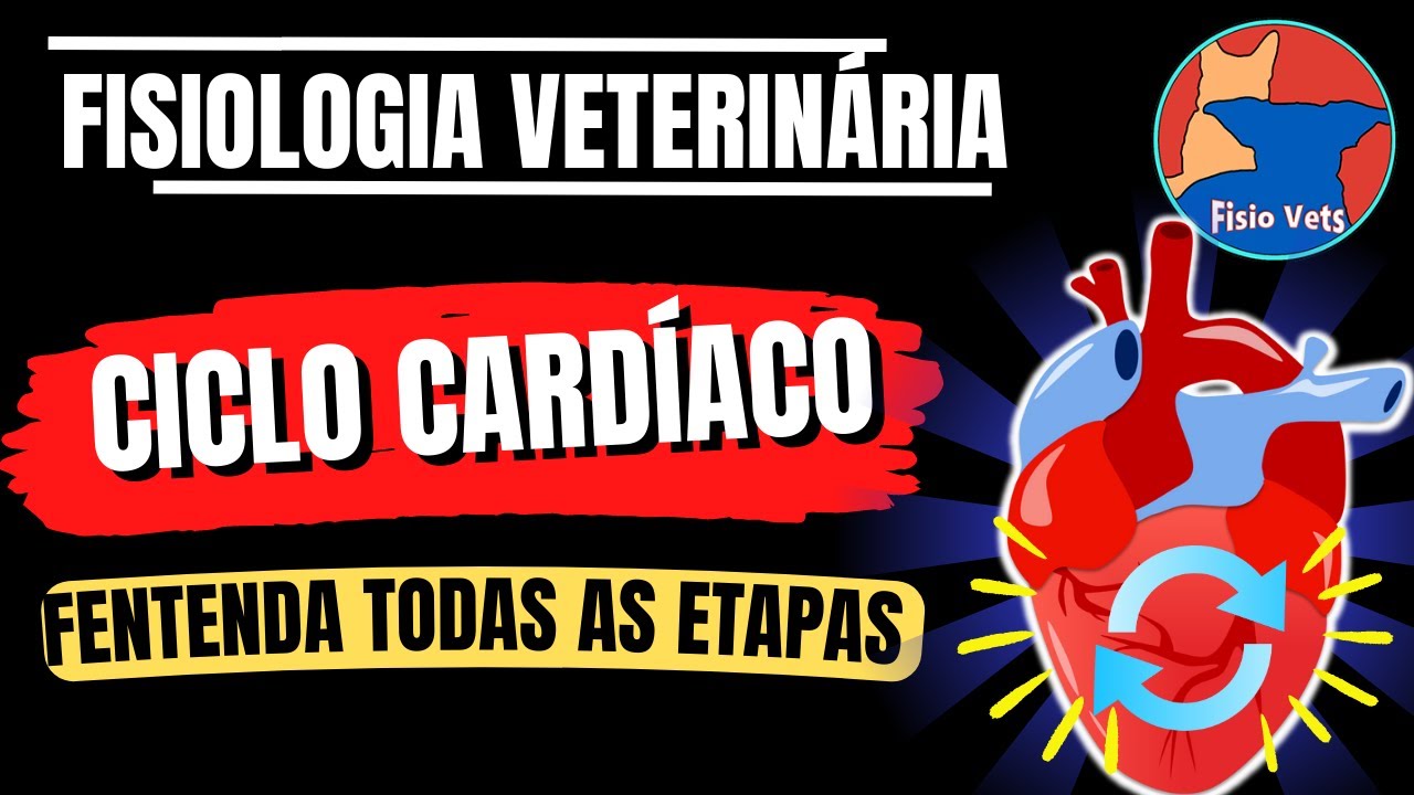 Sistema cardiovascular - O Ciclo Cardíaco  - Fisiologia veterinária - Aula 3