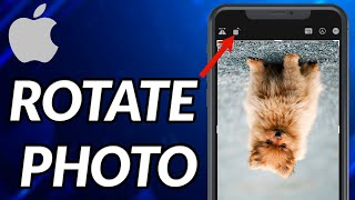 How To Rotate a Picture On iPhone