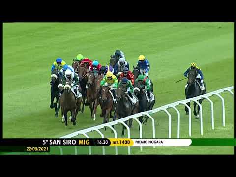 Premio Nogara - Mil Borromeo - Listenrennen