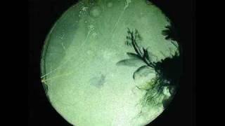 Woolfy vs Projections - Absynth (Marcus Worgull Remix)