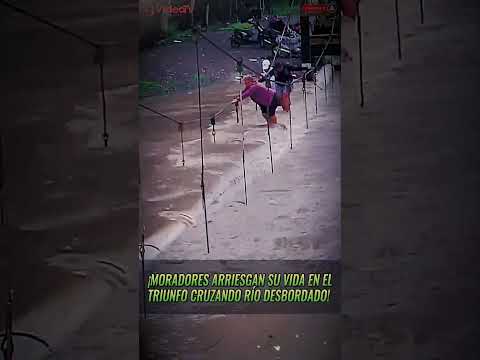 "MORADORES de EL TRIUNFO arriesgan su VIDA en río DESBORDADO en GUAYAS"