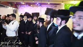 מוטי ויזל הרשי סגל ומקהלת מלכות Malchus Choir בחתונה חסידית אולמי סקויה יוסף אילוז הפקות צילום
