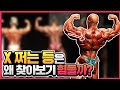 개쩌는 등 - 이 한국에서 나오지 않는 이유