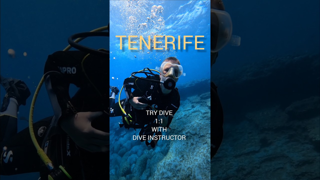 scuba diving tenerife video