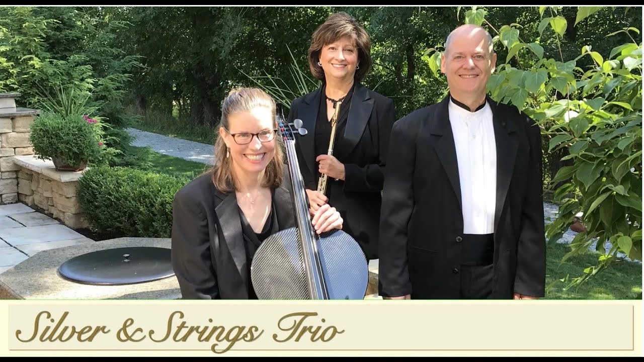 Promotional video thumbnail 1 for Silver & Strings Trio