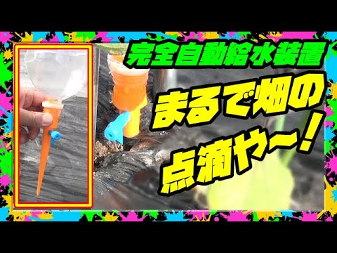 自動灌漑システム トピックス