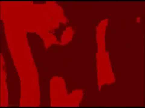 Heavy Zooo - Beehoover
