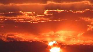 Parks-The Renaissance